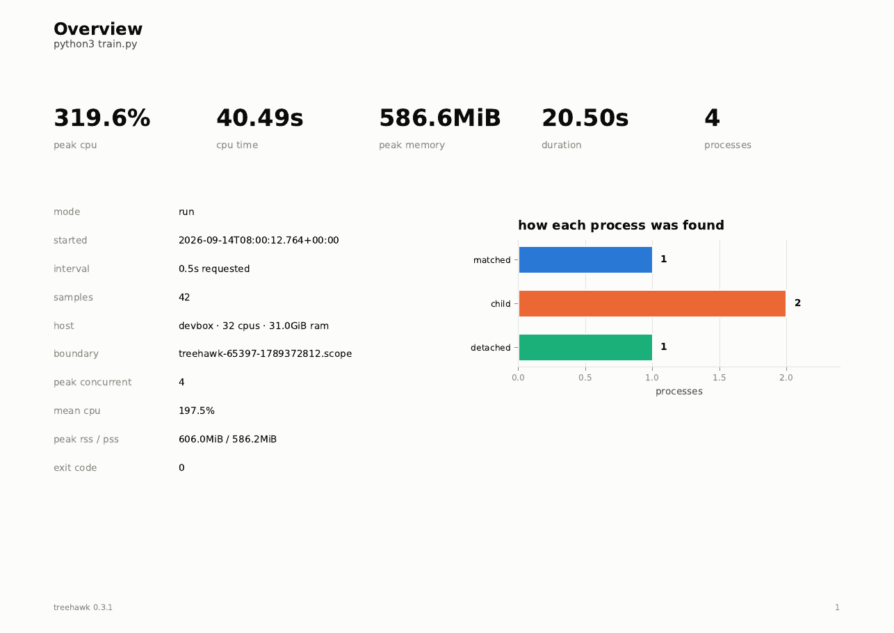 Overview page of the CPU and memory usage PDF report